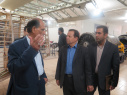 بازدید
